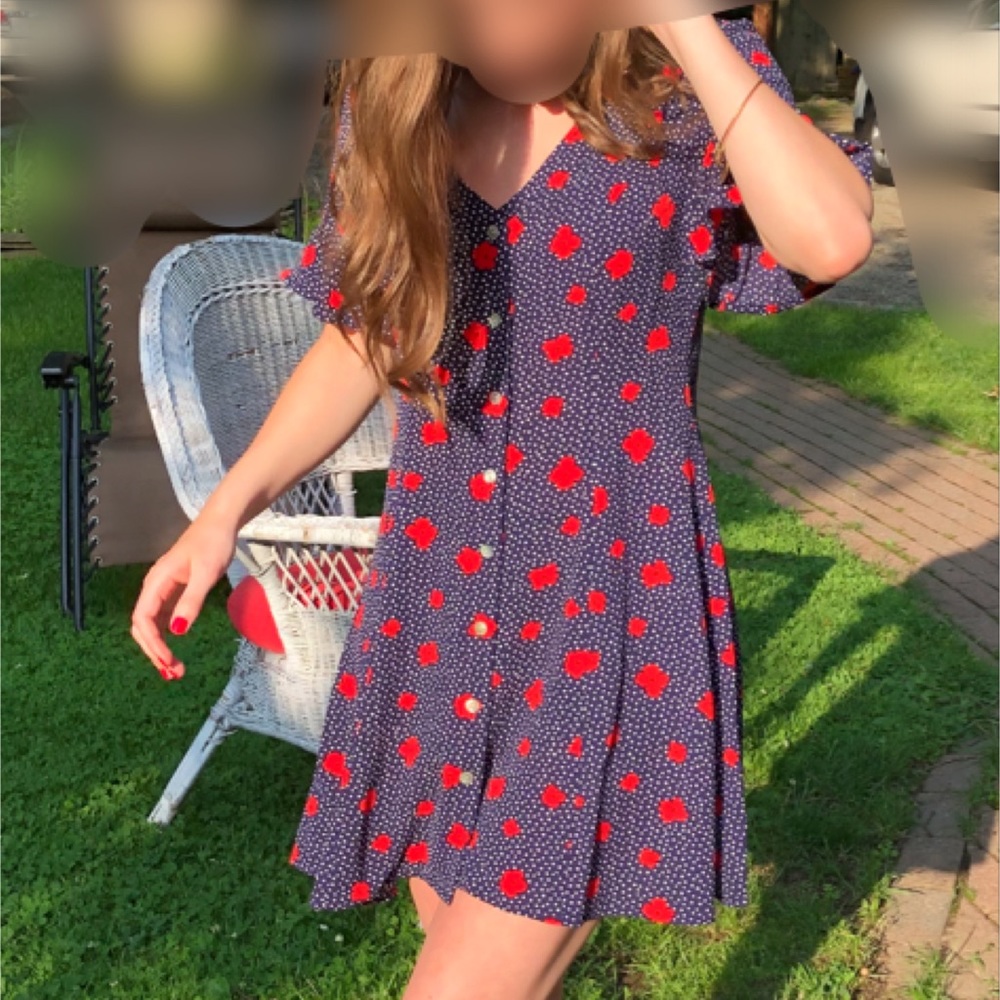 Flutter Sleeve Dress